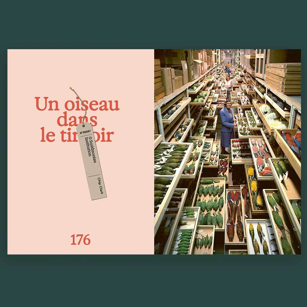 Les Others Volume 15 I Archives