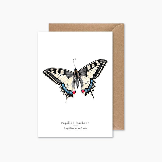 Carte Papillon Machaon I Papier Mirage