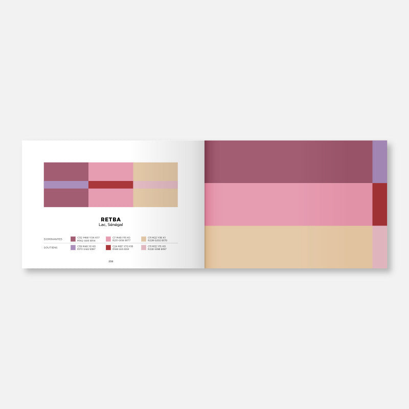 Color Inspiration Volume 1 I Papier Tigre